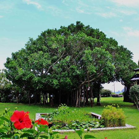 Sokodo-So Hachijo Dış mekan fotoğraf